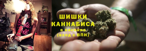 PSILOCYBIN Бугульма